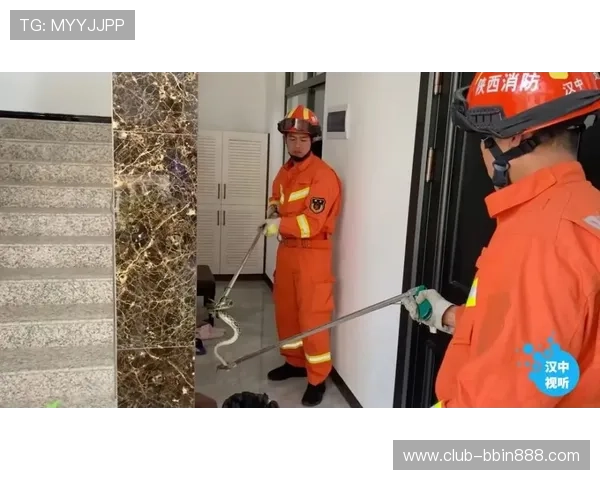 BBINapp手机安全保障措施，保障用户账号信息安全与隐私保护