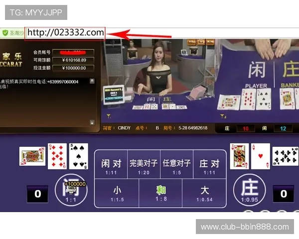 bbin波音根本不能玩，违规操作带来的法律风险详解