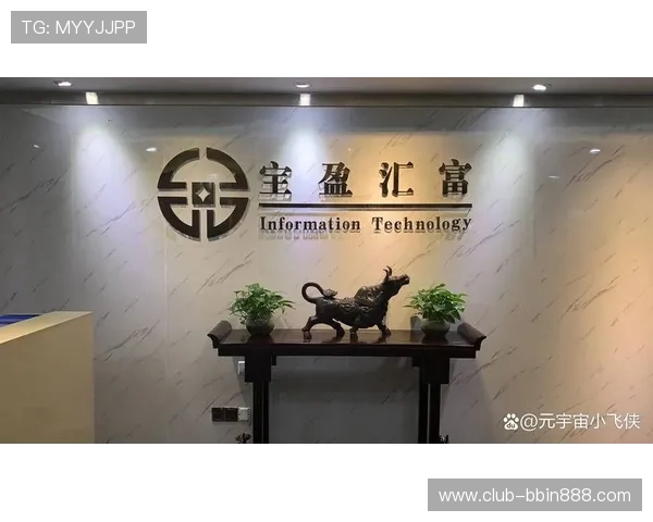 宝盈技术支持专业平台官网：专业技术支持团队为您提供全方位服务