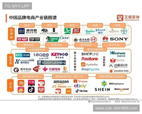 多宝电子行业分析：消费者需求变化推动行业升级与产品创新的路径分析